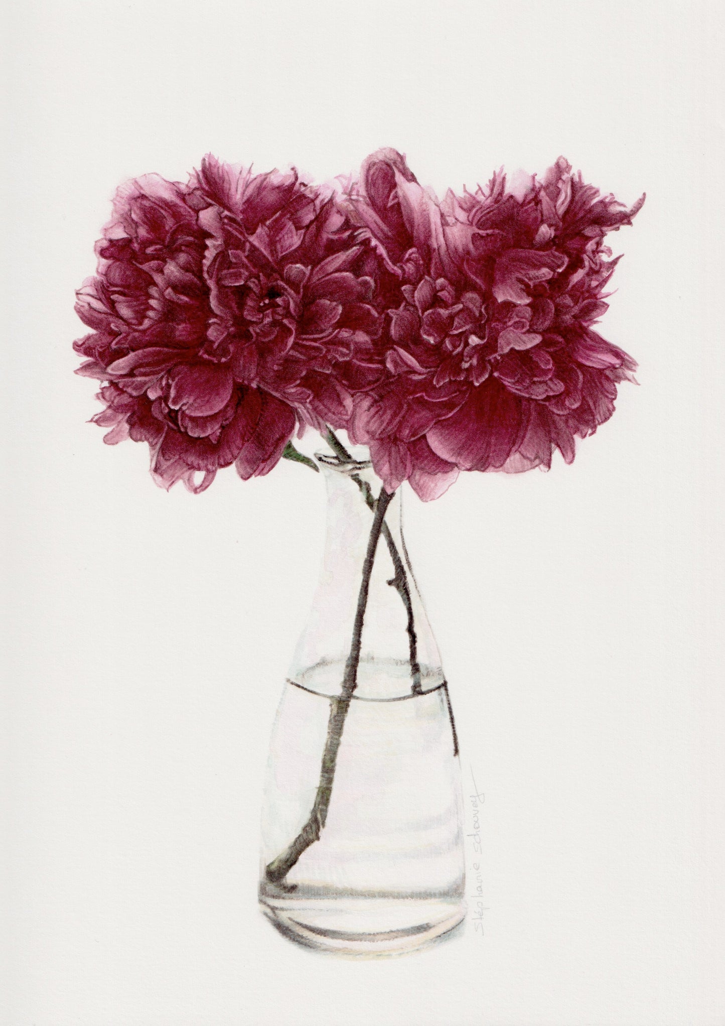 Aquarelle originale représentant deux tiges de pivoines pourpres dans un vase