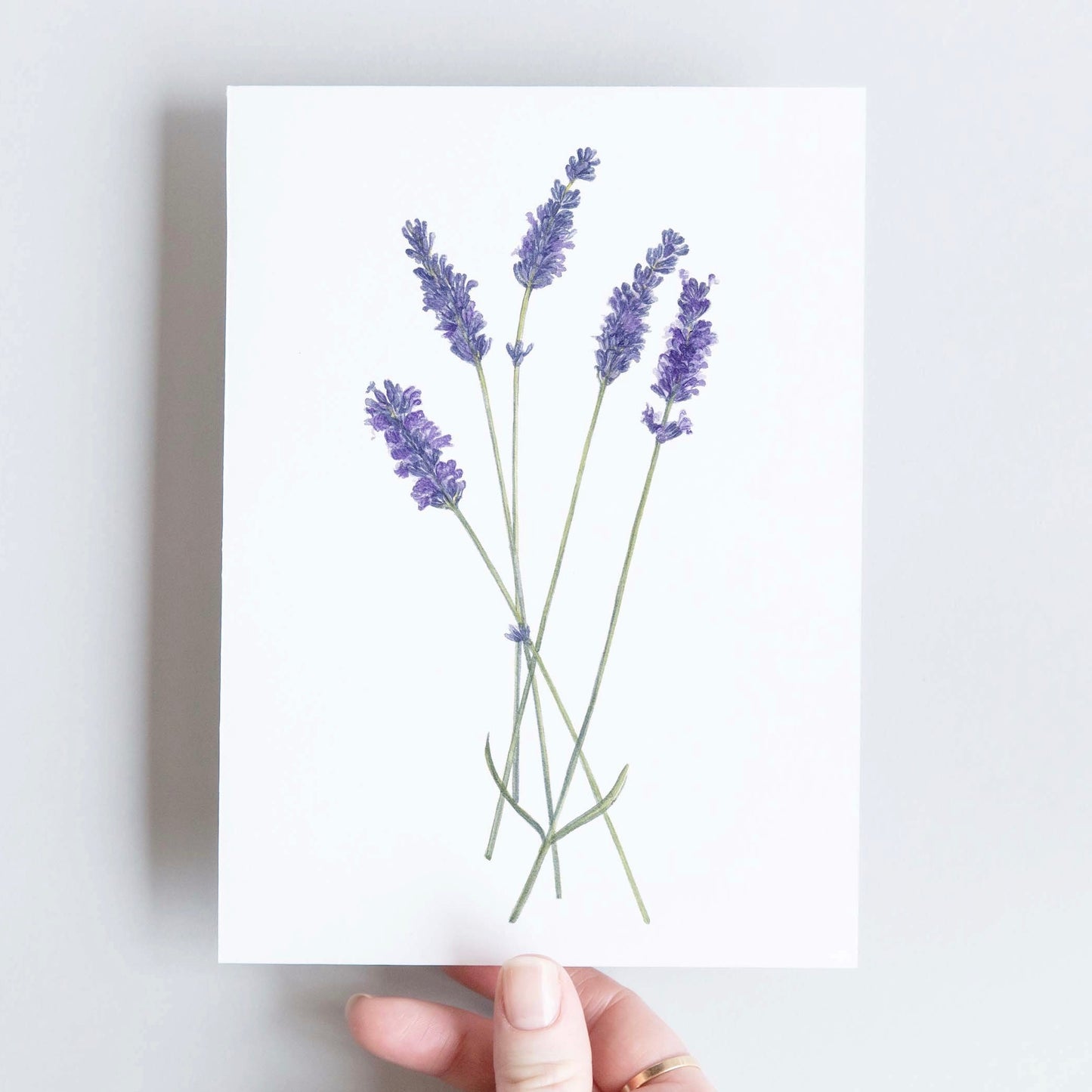 CARTE DOUBLE LAVANDE