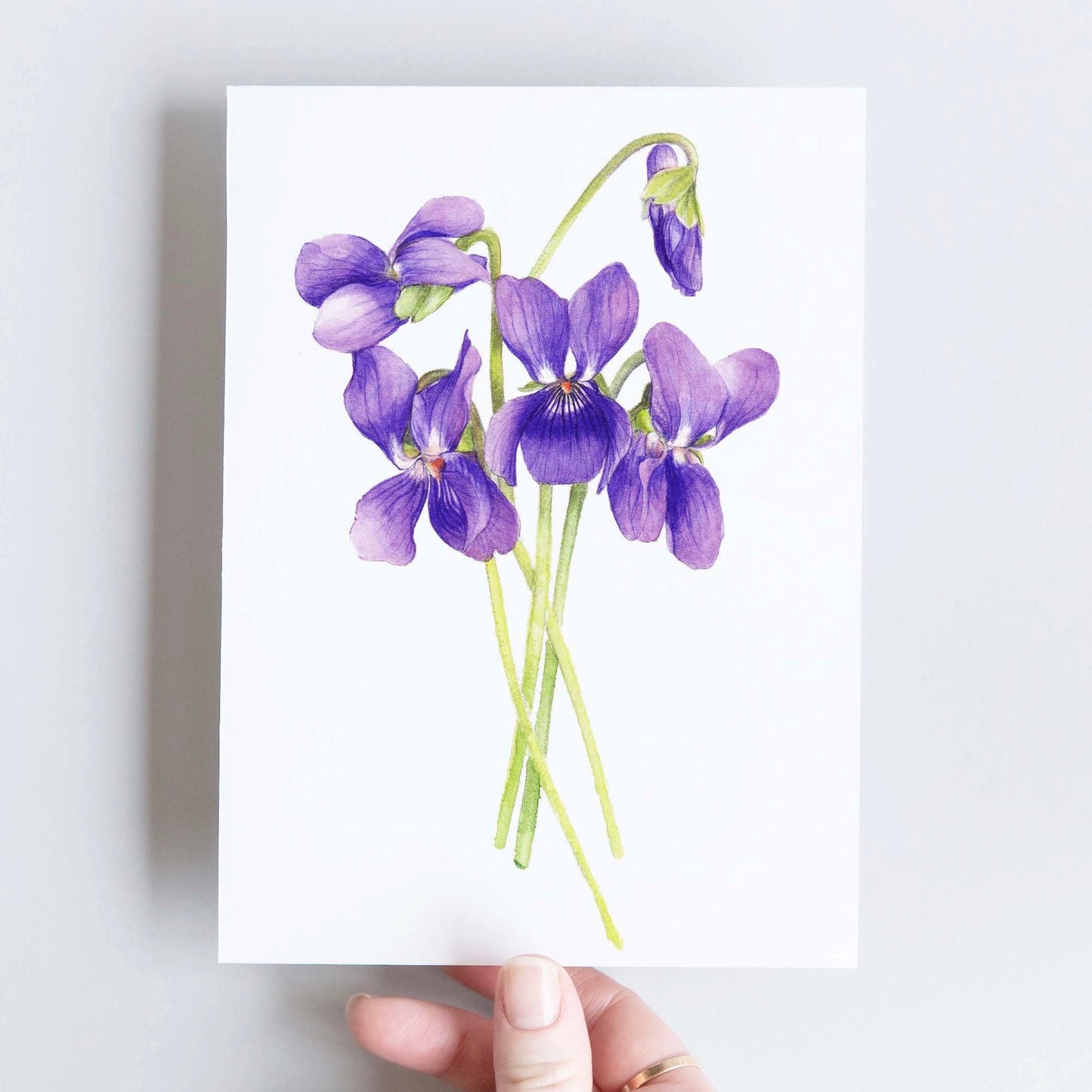 CARTE DOUBLE VIOLETTES