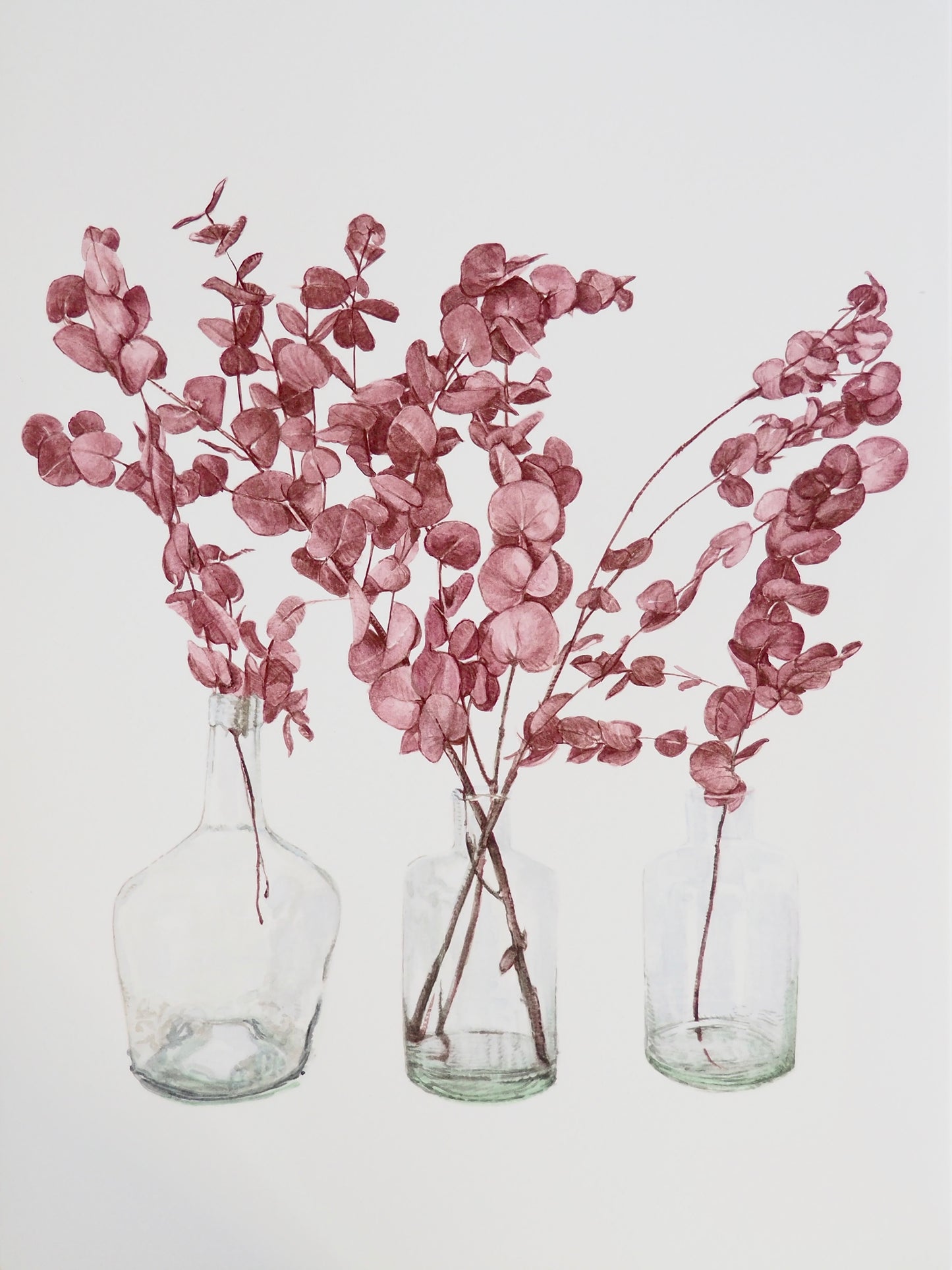 TROIS VASES D'EUCALYPTUS