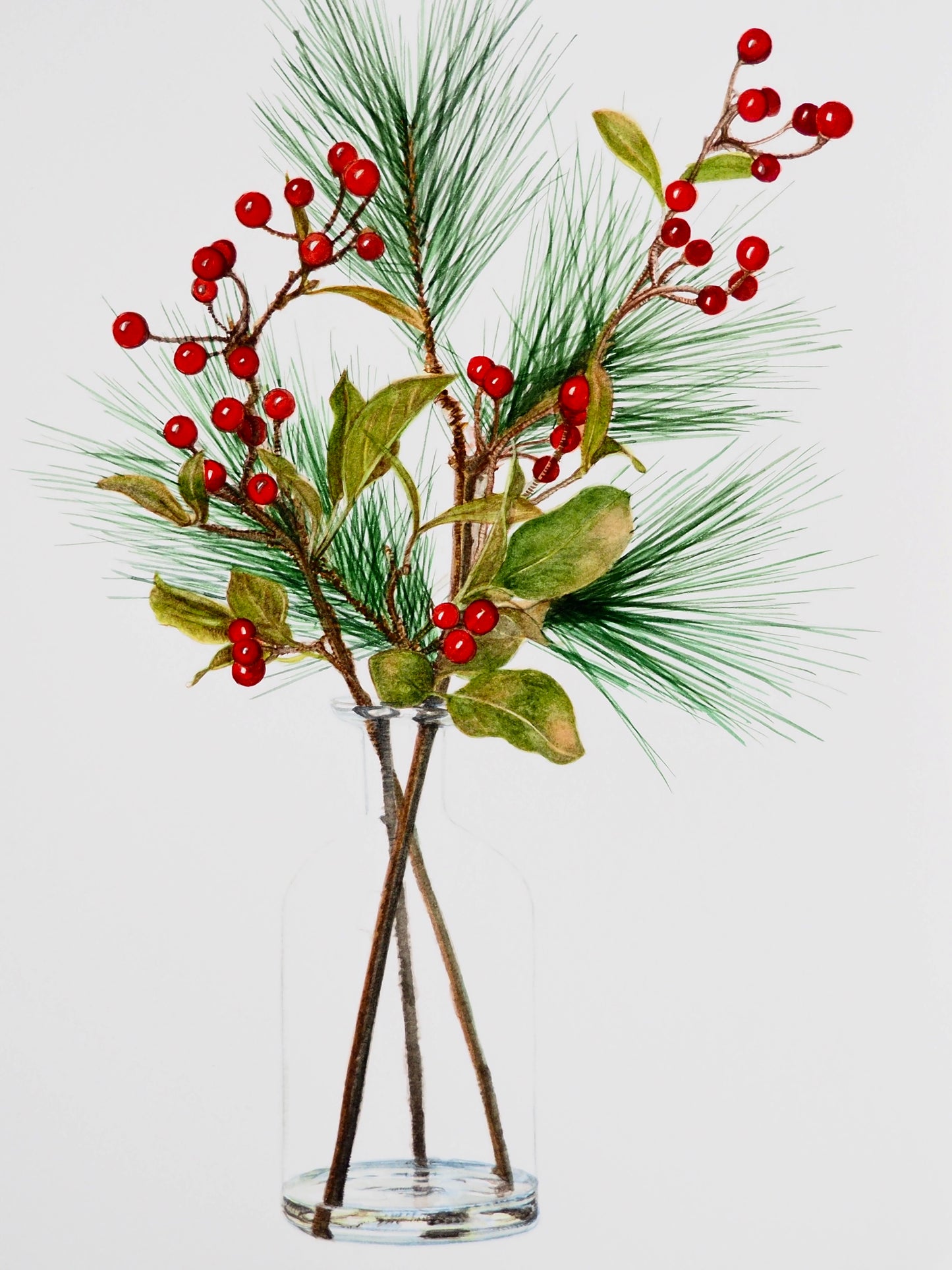 Illustration à l'aquarelle de composition florale en vase avec baies rouges et branches de pin