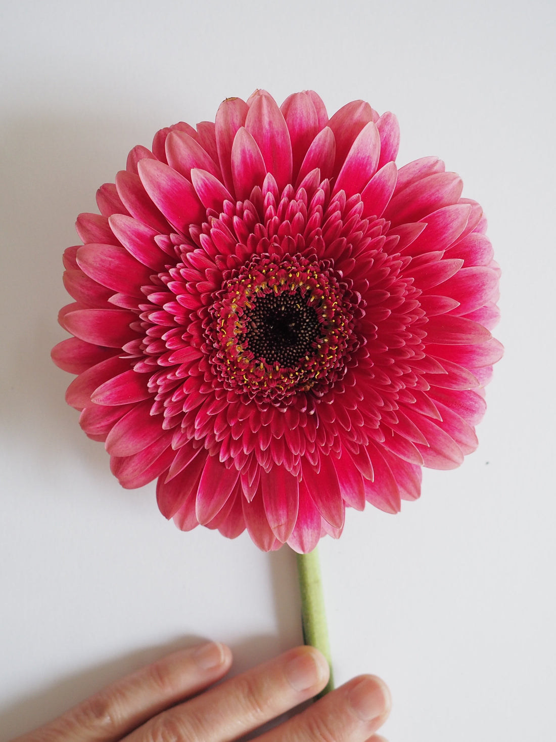 Leçon 3 : La lumière