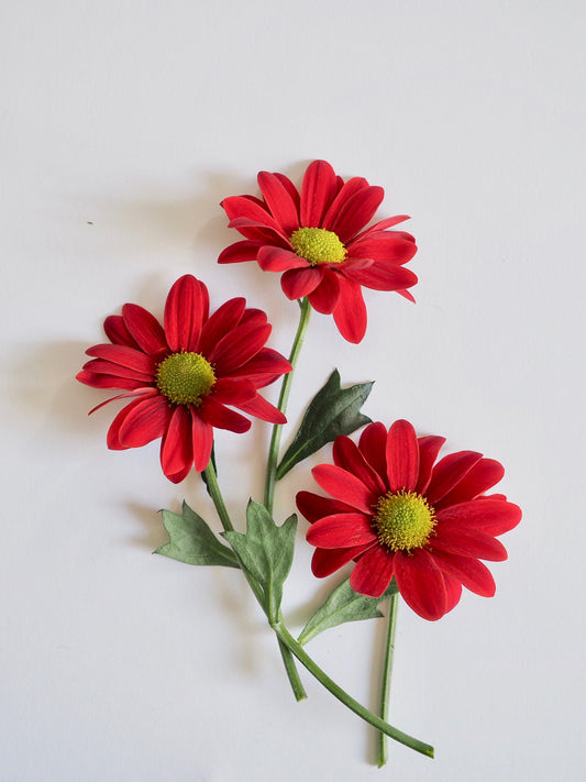 Leçon 2 : Organiser sa composition