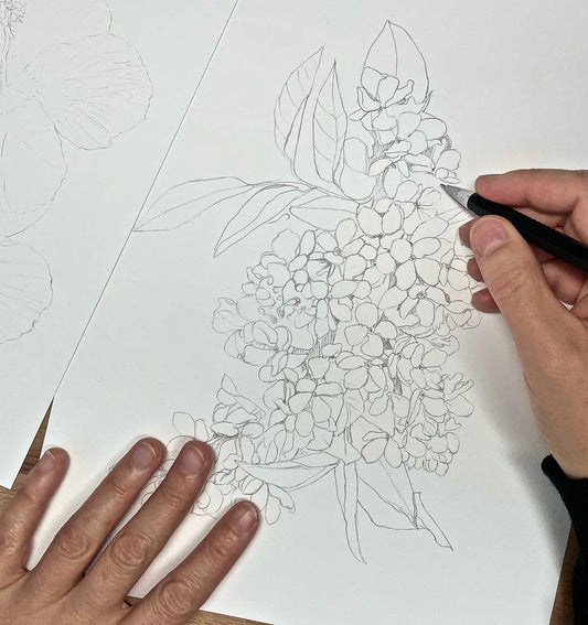 Leçon 4 : Comprendre l'architecture d'une fleur