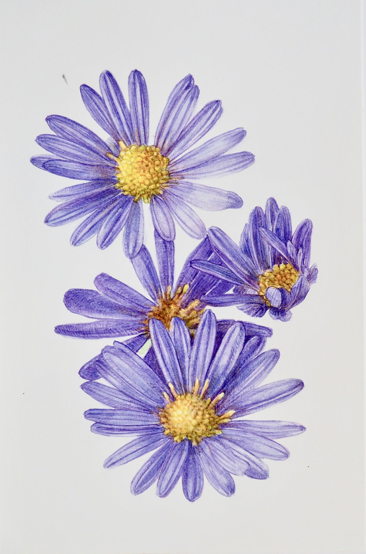 ASTER