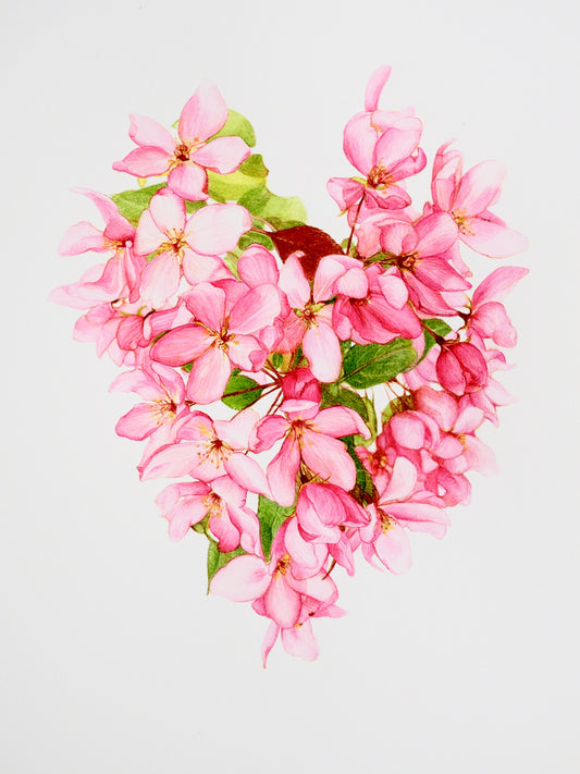 POMMIER FLEURS