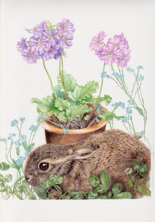 Dessin naturaliste à l'aquarelle d'Oryctolagus cuniculus (lapin commun) marron